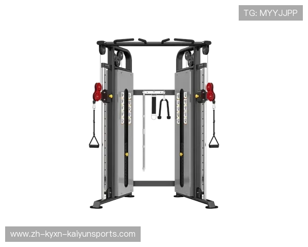 飞鸟健身设备全解析从新手到进阶训练指南 飞鸟健身设备全解析从新手到进阶训练指南