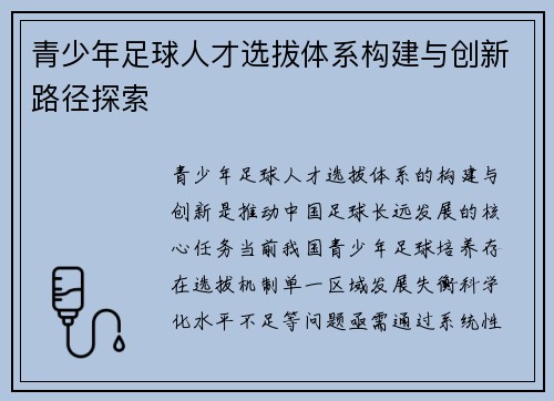 青少年足球人才选拔体系构建与创新路径探索